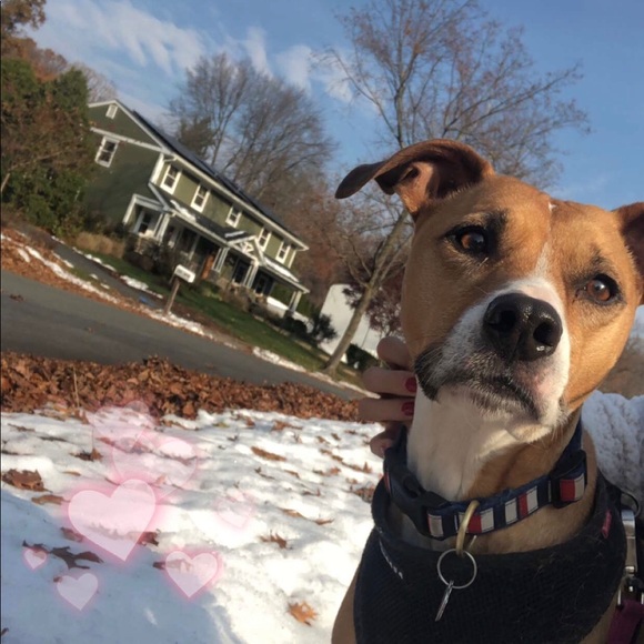 Meet your Posher, Leah - Picture 1 of 1